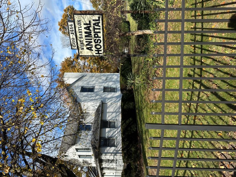 West babylon animal hospital frontage view