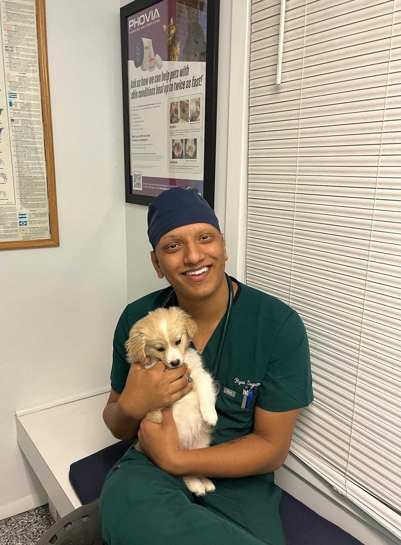 Professional female veterinarian examines pets cat examination table